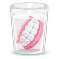Dentures in Glass of Water Royalty Free Stock Photo