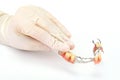 Dentures on a hand Royalty Free Stock Photo
