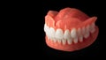 dentures. Isolate on white background acrylic prosthesis of human jaws. The concept of orthopedic dentistry