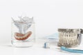 Dentures mold splashing in water Royalty Free Stock Photo