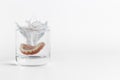 Dentures splashing in glass of water Royalty Free Stock Photo