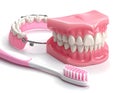 Dentures and Toothbrush - Oral Hygiene and Dental Care Royalty Free Stock Photo