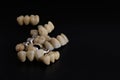 Dentures and various elements of a dental prosthesis for dentists and dental prostheses. Royalty Free Stock Photo
