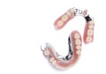 Dentures on white background.