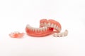 Dentures on a white background. Close-up of dentures. Full removable plastic denture of the jaws. Prosthetic dentistry. Royalty Free Stock Photo