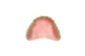 Dentures on white background