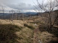 Denuded hillsides and dry trees in Biskupia Kopa mountain Royalty Free Stock Photo