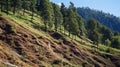 Denuded mountain side due to logging Royalty Free Stock Photo