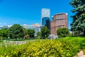 Yellow Wild Flowers bloom in summer in downtown Denver Colorado Royalty Free Stock Photo