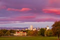 Denver Colorado Skyline from City Park Royalty Free Stock Photo