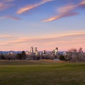 Denver Skyline Wide Angle