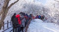 DEOGYUSAN,KOREA - JANUARY 23: Tourists taking photos. Royalty Free Stock Photo