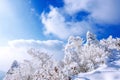 Deogyusan mountains is covered by snow and morning fog in winter. Royalty Free Stock Photo