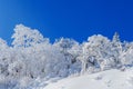 Deogyusan mountains is covered by snow in winter,South Korea Royalty Free Stock Photo