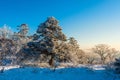 Deogyusan mountains at sunrise in winter, South Korea Royalty Free Stock Photo