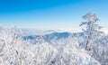 Deogyusan in winter,korea Royalty Free Stock Photo