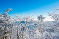 Deogyusan in winter,korea Royalty Free Stock Photo