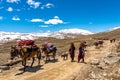 Deosai National Park Nomads 53