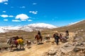 Deosai National Park Nomads 55