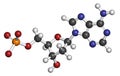 Deoxyadenosine monophosphate (dAMP) nucleotide molecule. DNA building block. Atoms are represented as spheres with conventional Royalty Free Stock Photo