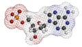 Deoxyadenosine monophosphate (dAMP) nucleotide molecule. DNA building block. Atoms are represented as spheres with conventional