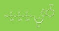 Deoxyadenosine triphosphate dATP nucleotide molecule. DNA building block. Skeletal formula.