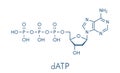 Deoxyadenosine triphosphate dATP nucleotide molecule. DNA building block. Skeletal formula.