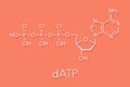 Deoxyadenosine triphosphate dATP nucleotide molecule. DNA building block. Skeletal formula.