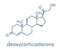 Deoxycorticosterone DOC mineralocorticoid hormone molecule. Precursor to aldosterone. Skeletal formula.