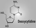 Deoxycytidine or dC nucleoside molecule. DNA building block. Skeletal formula. Royalty Free Stock Photo
