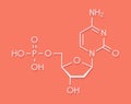 Deoxycytidine monophosphate dCMP nucleotide molecule. DNA building block. Skeletal formula.