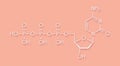 Deoxycytidine triphosphate dCTP nucleotide molecule. DNA building block. Skeletal formula. Royalty Free Stock Photo