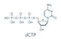 Deoxycytidine triphosphate dCTP nucleotide molecule. DNA building block. Skeletal formula.