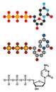 Deoxycytidine triphosphate (dCTP) nucleotide molecule. DNA building block Royalty Free Stock Photo