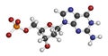 Deoxyguanosine monophosphate (dGMP) nucleotide molecule. DNA building block. Atoms are represented as spheres with conventional