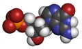 Deoxyguanosine monophosphate (dGMP) nucleotide molecule. DNA building block. Atoms are represented as spheres with conventional Royalty Free Stock Photo