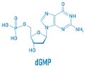 Deoxyguanosine monophosphate or dGMP nucleotide molecule. DNA building block. Skeletal formula. Royalty Free Stock Photo