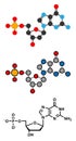 Deoxyguanosine monophosphate (dGMP) nucleotide molecule. DNA building block Royalty Free Stock Photo