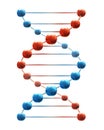 Deoxyribonucleic acid