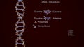 3D Render DNA Structure Royalty Free Stock Photo