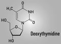 Deoxythymidine or Thymidine nucleoside molecule. DNA building block. Skeletal formula.