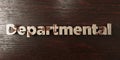 Departmental - grungy wooden headline on Maple - 3D rendered royalty free stock image