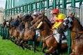 Departure of a horse race on the racetrack of Chantilly France Royalty Free Stock Photo