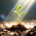 depict the moment of a tiny sprout bursting through the surface of the soil into the light trending