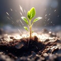 depict the moment of a tiny sprout bursting through the surface of the soil into the light trending