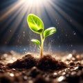 depict the moment of a tiny sprout bursting through the surface of the soil into the light trending