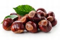 Depicting a sapient vestis conestjane, chestnuts with leaves isolated on white background photo realistic image of con easily com