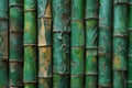 Depicting a  wall of green bamboo sticks, in high resolution and high quality. Royalty Free Stock Photo