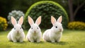 A Depiction Of A Marvelously Detailed Photo Of Three White Rabbits AI Generative