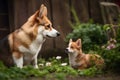 depicts a Pembroke Welsh Corgi and her baby playing in a beautiful garden setting